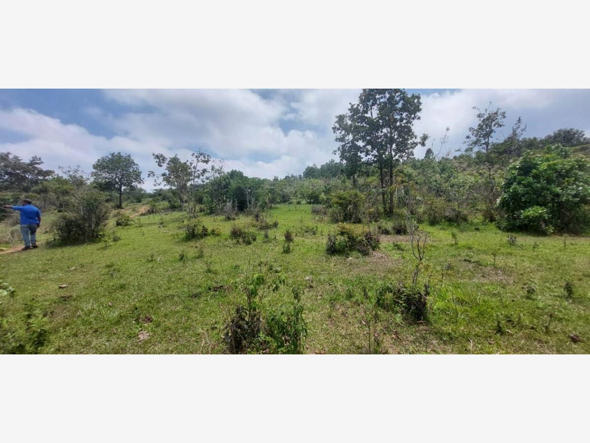 Terreno en venta en Zacualpan de Ecatepec, San Cristóbal de las Casas — foto 1 de 21