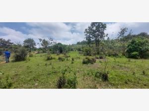 Terreno en venta en Zacualpan de Ecatepec, San Cristóbal de las Casas — foto 3 de 21