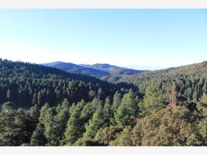 Terreno en venta en Mineral del Monte Centro, Mineral del Monte — foto 3 de 12
