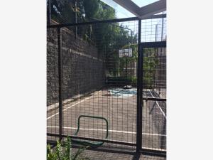 Departamento en renta en Carola, Álvaro Obregón — foto 2 de 55