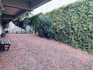Departamento en renta en Carola, Álvaro Obregón — foto 3 de 55