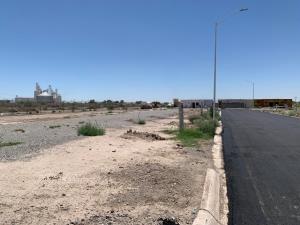 Terreno en venta en Tabachines, Gómez Palacio — foto 2 de 14