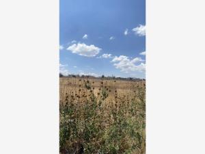 Terreno en venta en Ciudad Maderas Sur II, Apaseo El Alto — foto 2 de 5
