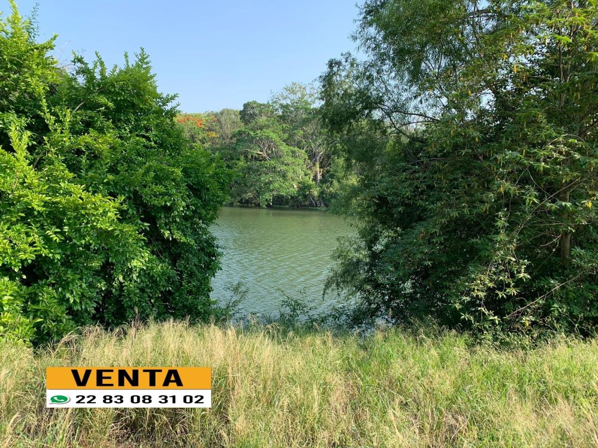 Terreno en venta en Paso Colorado, Medellín de Bravo — foto 1 de 9