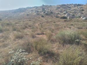 Terreno en venta en Valle Redondo, Tijuana — foto 2 de 24