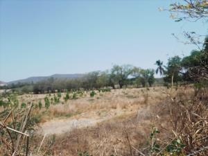 Terreno en venta en Ejidal, Colima, Colima