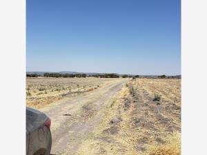 Terreno en venta en Corral de Piedras de Arriba, San Miguel de Allende — foto 2 de 14