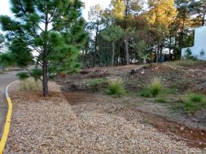 Terreno en venta en Bosque Monarca, Morelia — foto 2 de 15