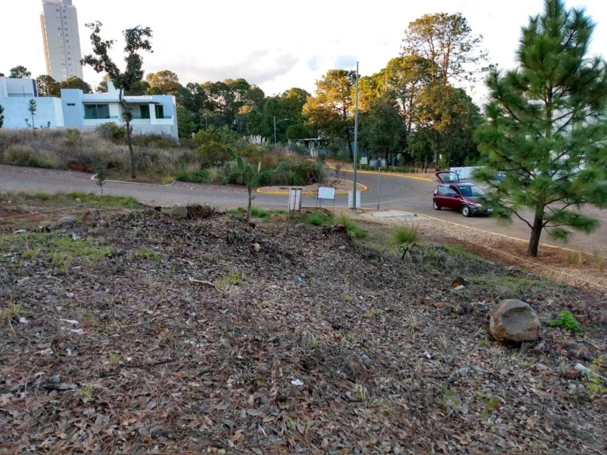 Terreno en venta en Bosque Monarca, Morelia — foto 1 de 15