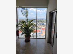 Departamento en venta en San Bernardino Tlaxcalancingo, San Andrés Cholula — foto 2 de 11