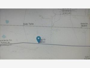 Terreno en venta en El Mimbre, Ocampo, Coahuila de Zaragoza