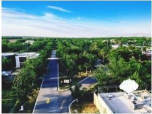 Terreno en venta en San Armando, Torreón — foto 2 de 8