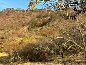 Terreno en venta en Patámbaro, Tzitzio — foto 3 de 20