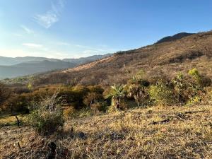 Terreno en venta en Patámbaro, Tzitzio — foto 2 de 20
