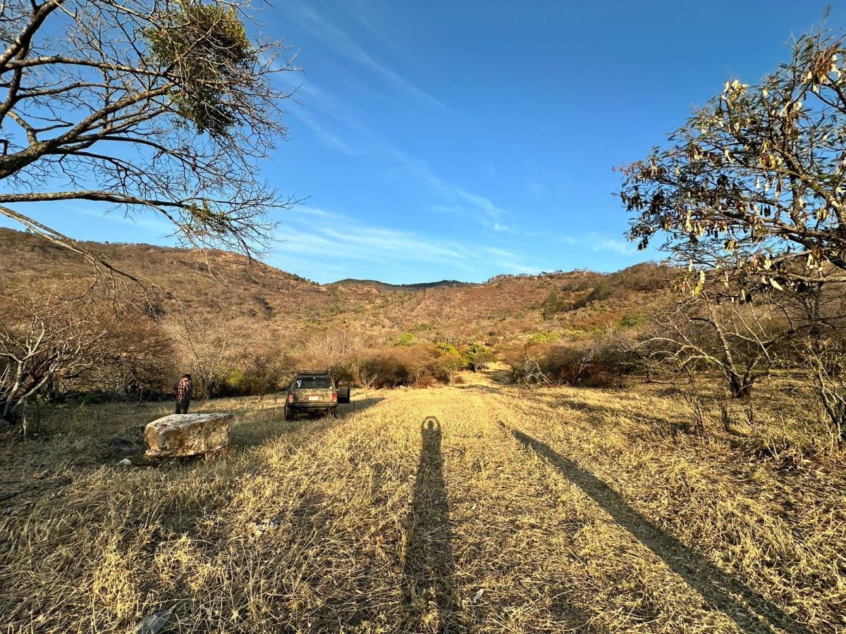 Terreno en venta en Patámbaro, Tzitzio — foto 1 de 20