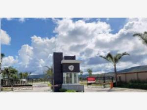 Terreno en venta en Lomas de Angelópolis, San Andrés Cholula — foto 2 de 5