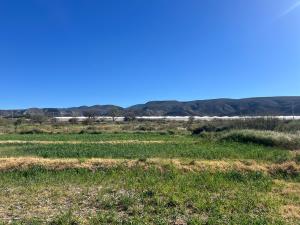 Terreno en venta en Estrella, Parras — foto 2 de 8