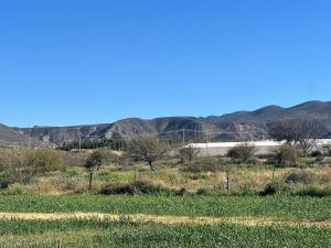 Terreno en venta en Estrella, Parras — foto 3 de 8