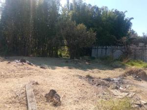 Terreno en venta en Lomas de Acapatzingo, Cuernavaca — foto 3 de 3