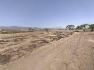 Terreno en venta en Macuilxochitl de Artigas Carranza, San Jerónimo Tlacochahuaya — foto 2 de 9