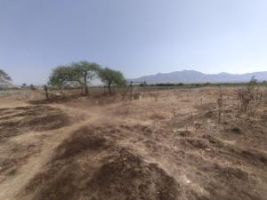 Terreno en venta en Macuilxochitl de Artigas Carranza, San Jerónimo Tlacochahuaya — foto 3 de 9
