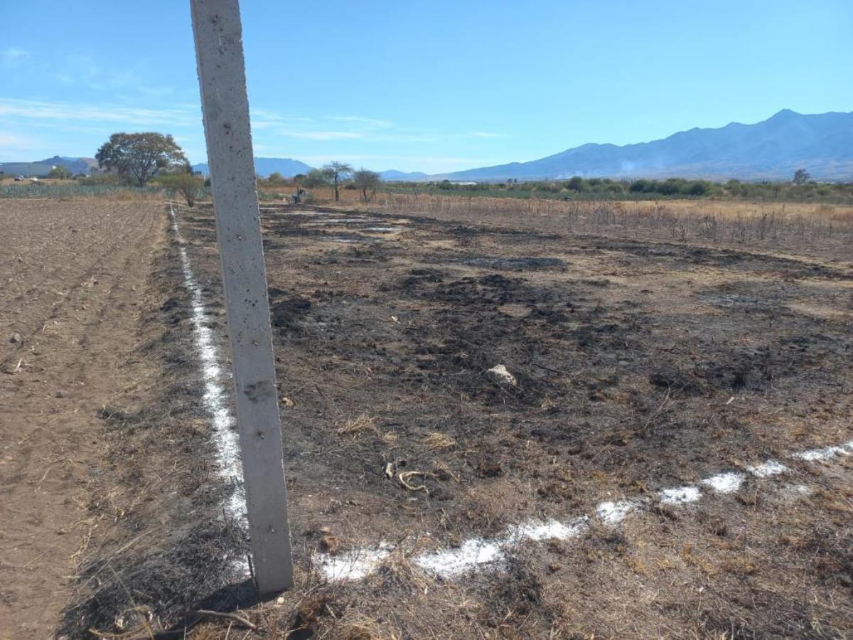 Terreno en venta en San Andres Huayapam, San Andrés Huayapam — foto 1 de 4