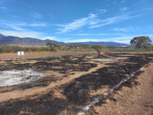 Terreno en venta en San Andres Huayapam, San Andrés Huayapam — foto 2 de 4