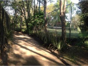 Finca-Rancho en venta en Acapatzingo, Cuernavaca — foto 3 de 15