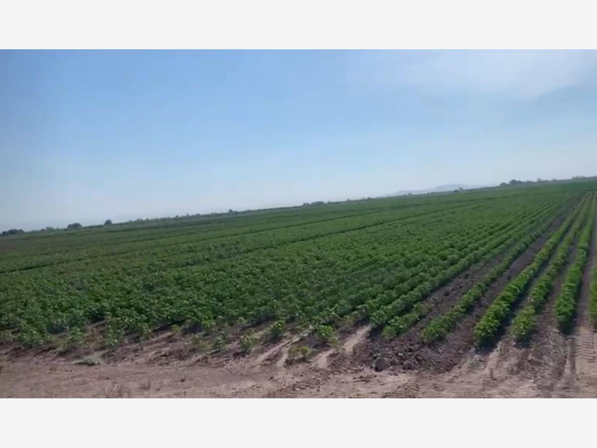 Terreno en venta en Vega Larga, San Pedro — foto 1 de 6