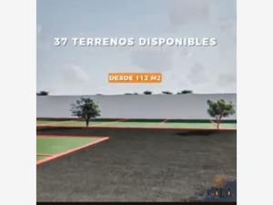 Terreno en venta en Santa Maria Tequepexpan, San Pedro Tlaquepaque — foto 3 de 3