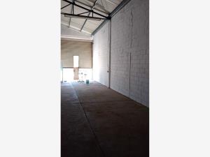 Bodega en renta en Altos de Bachigualato, Culiacán — foto 3 de 13