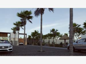 Terreno en venta en Emiliano Zapata Nexatengo, Atlixco — foto 2 de 14