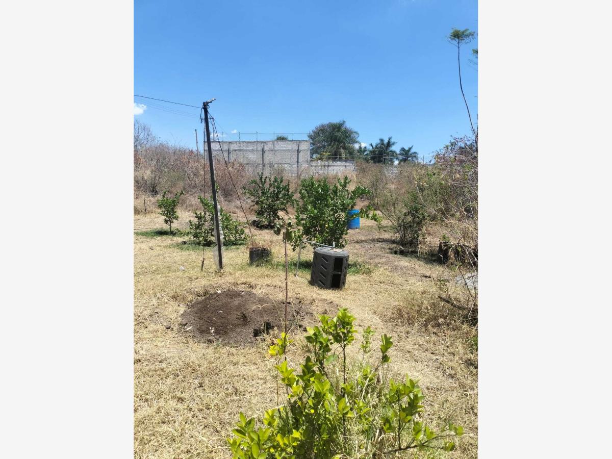 Terreno en venta en Amates de Oaxtepec, Yautepec — foto 1 de 5