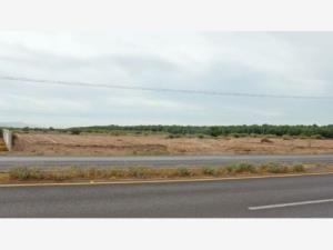 Terreno en venta en Hormiguero, Matamoros — foto 3 de 10