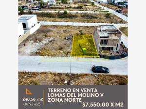 Terreno en venta en El Molino Residencial y Golf, León, Guanajuato