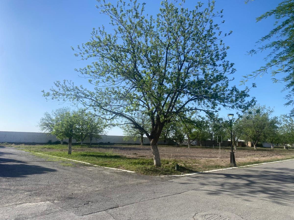 Terreno en Venta en San Armando, Torreón, Coahuila de Zaragoza