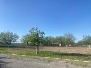 Terreno en venta en San Armando, Torreón — foto 2 de 15