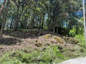 Terreno en venta en Bosques de San Cayetano, Mineral del Monte — foto 2 de 19
