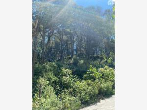 Terreno en venta en Bosques de San Cayetano, Mineral del Monte — foto 3 de 19
