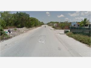 Casa en venta en Playa del Carmen Centro, Playa del Carmen — foto 3 de 4