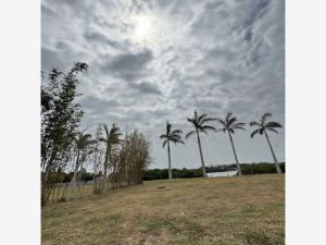 Terreno en venta en Río del Dorado, Boca del Río — foto 2 de 3