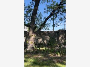 Terreno en venta en Parras de la Fuente Centro, Parras — foto 2 de 8