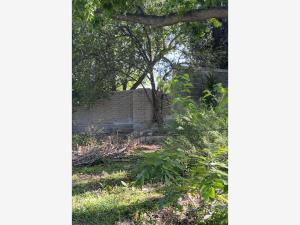 Terreno en venta en Parras de la Fuente Centro, Parras — foto 3 de 8