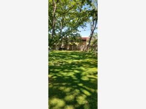 Terreno en venta en Parras de la Fuente Centro, Parras, Coahuila de Zaragoza Terreno en venta en Parras de la Fuente Centro, Parras, Coahuila de Zaragoza
