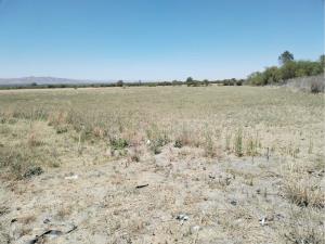 Finca-Rancho en venta en El Carmen, Tepezalá — foto 2 de 5
