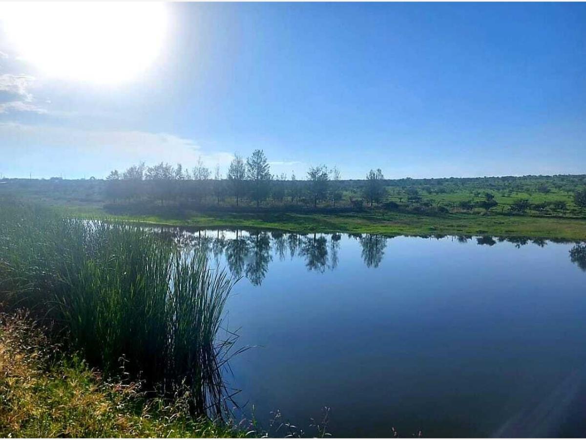 Terreno en venta en La Haciendita, León — foto 1 de 9