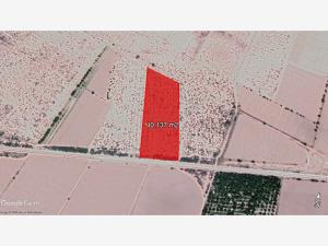 Terreno en venta en La Paz, Torreón — foto 3 de 10