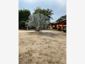 Finca-Rancho en venta en El Coacoyul, Zihuatanejo de Azueta — foto 3 de 25
