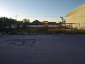 Terreno en renta en Constituyentes, Lerdo — foto 2 de 8