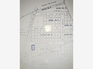 Terreno en venta en Santa Anita, Lerdo — foto 2 de 3